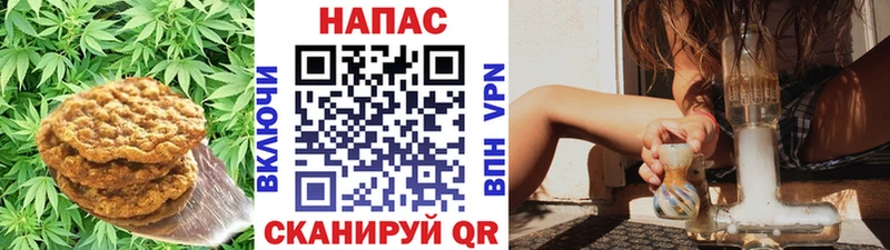 Cannafood марихуана  Кириши 